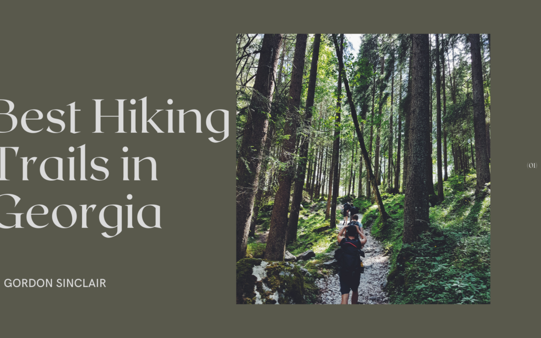 Best Hiking Trails In Georgia Gordon Sinclair