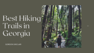 Best Hiking Trails In Georgia Gordon Sinclair
